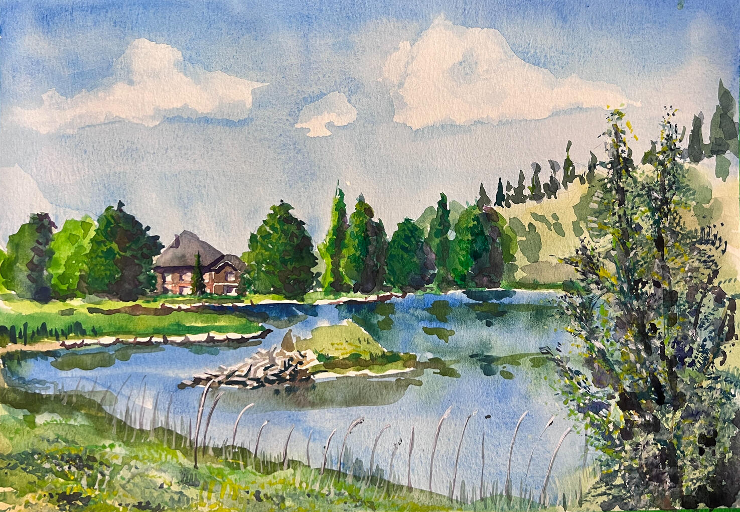 Impressions of Griffith Woods 03 2023 11x16in Watercolor on paper $500